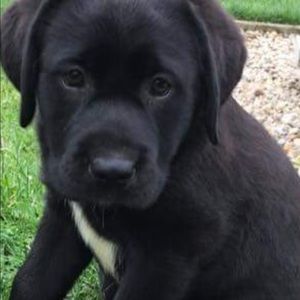 Meet your Posher, Jack